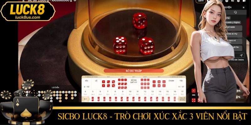 Hướng dẫn đặt cược cơ bản trong Sicbo cho người mới